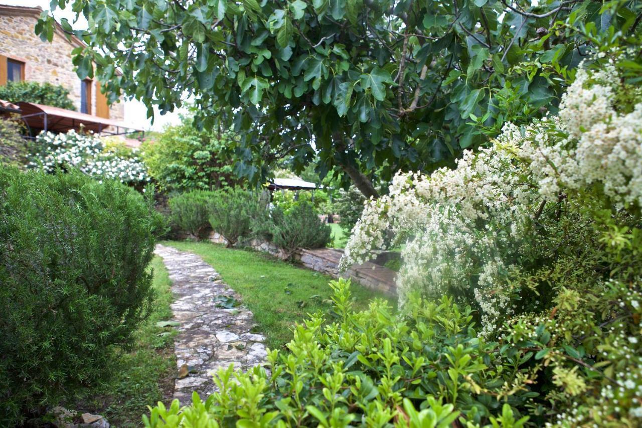 Bed and Breakfast Fonte Magia Castel de' Fiori Exterior foto